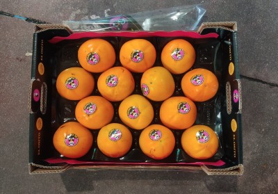 Foto Cachi Mela Varietà Rojo Brillante Calibro 14 Origine Spagna Marchio Elosito	       3