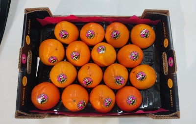 Foto Cachi Mela Varietà Rojo Brillante Calibro 16 Origine Spagna Marchio Elosito	     3