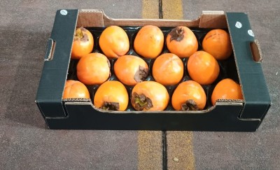 Foto Cachi Mela Varietà Rojo Brillante Calibro 14 Origine Italia Marchio Cartone Nero  1