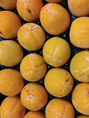 Foto Cachi Mela Varietà Rojo Brillante Calibro 22 Origine Italia Marchio Alegra	 2