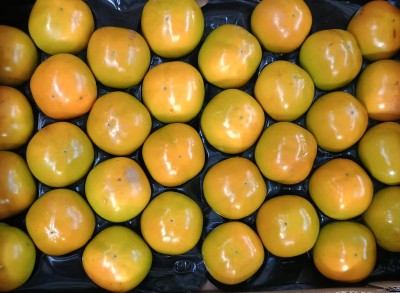 Foto Cachi Mela Varietà Sharon Fuyu Calibro 32 Origine Italia Marchio Cartone Nero          2