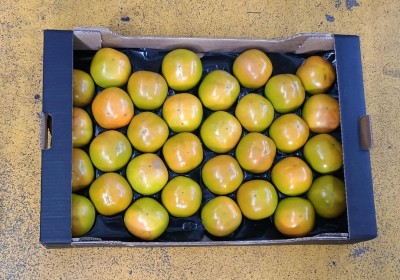 Foto Cachi Mela Varietà Sharon Fuyu Calibro 32 Origine Italia Marchio Cartone Nero          3