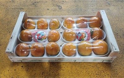 Foto Loti Maturi Calibro 18 Origine Italia Marchio Verdicchio 1