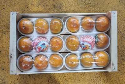 Foto Loti Maturi Calibro 18 Origine Italia Marchio Verdicchio 3