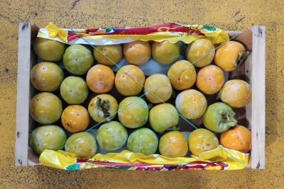 Foto Loti Vaniglia Lavorazione in Padella Origine Italia Marchio Razzano 2