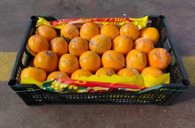 Foto Loti Vaniglia Origine Italia Marchio Razzano       1