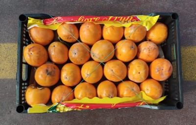 Foto Loti Vaniglia Origine Italia Marchio Razzano       3