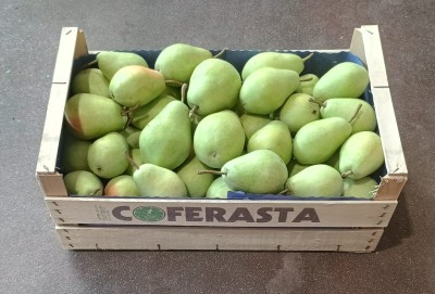 Foto Pere Carmen Varietà Santa Maria Origine Italia Marchio Coferasta         1