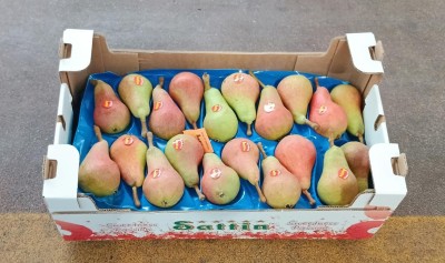 Foto Pere Carmen Lavorazione In Doppio Strato Calibro 20 Origine Italia Marchio Sattin 1