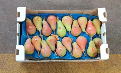 Foto Pere Carmen Lavorazione In Doppio Strato Calibro 20 Origine Italia Marchio Sattin 3