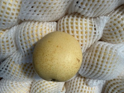 Foto Pere Nashi Calibro 18 Origine Cina Marchio Crown Pear 2