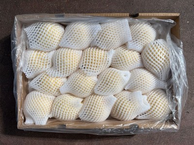 Foto Pere Nashi Calibro 18 Origine Cina Marchio Crown Pear 3