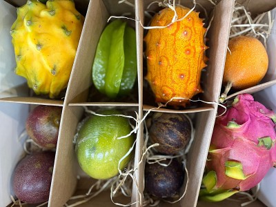 Foto Misto  Esotico Box con 8 Varietà Marchio Mc Garlet 2