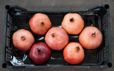 Foto Melograno Varietà Wonderfull Calibro 7 Origine Turchia Marchio Agriroma 1