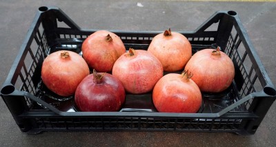 Foto Melograno Varietà Wonderfull Calibro 7 Origine Turchia Marchio Agriroma 3