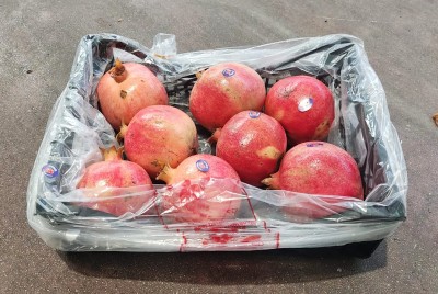 Foto Melograno Varietà Wonderfull Calibro 8 Origine Egitto Marchio Agricola Gloria 1