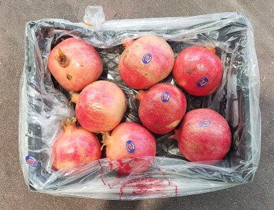 Foto Melograno Varietà Wonderfull Calibro 8 Origine Egitto Marchio Agricola Gloria 3