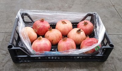 Foto Melograni Wonderfull Calibro 9 Origine Turchia Marchio Agricola Gloria 1