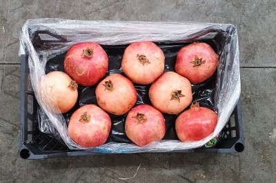 Foto Melograni Wonderfull Calibro 9 Origine Turchia Marchio Agricola Gloria 3