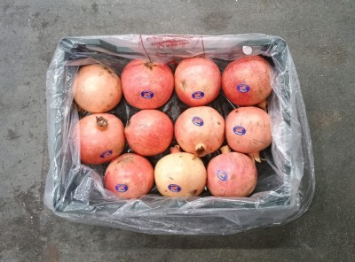 Foto Melograni Varietà Wonderfull Calibro 10 Origine Egitto Marchio Agricola Gloria  3