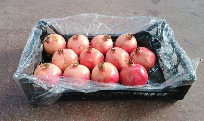 Foto Melograni Varietà Wonderful Calibro 12 Origine Turchia Marchio Delicious 1