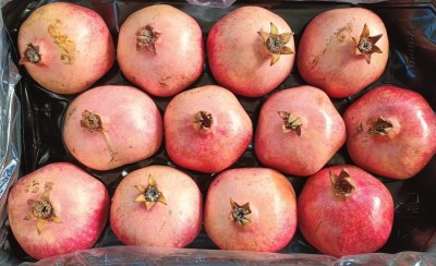 Foto Melograni Varietà Wonderful Calibro 12 Origine Turchia Marchio Delicious 2