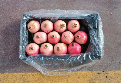 Foto Melograni Varietà Wonderful Calibro 12 Origine Turchia Marchio Delicious 3