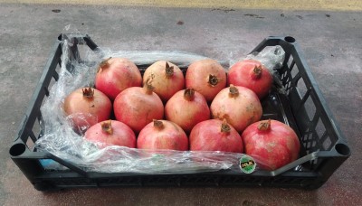 Foto Melograni Wonderfull Calibro 12  Origine Turchia Marchio Agricola Gloria 1