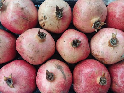 Foto Melograni Wonderfull Calibro 12  Origine Turchia Marchio Agricola Gloria 2