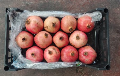 Foto Melograni Wonderfull Calibro 12  Origine Turchia Marchio Agricola Gloria 3