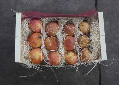 Foto Melograni Varietà Mollar Calibro 20 Origine Spagna Marchio Anton  3