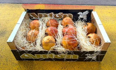 Foto Melograni Moller Calibro 20 Origine Spagna Marchio Anton 1