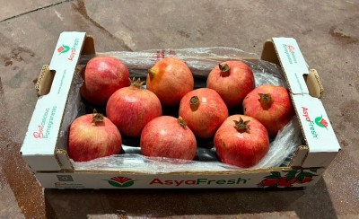 Foto Melograni Varietà Wonderfull Calibro 7 Origine Turchia Marchio Asya Fresh 1