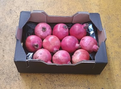 Foto Melograni Varietà Acco Origine Spagna Marchio Raimondo  1