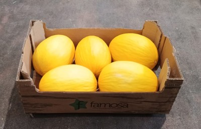 Foto Meloni Gialli Calibro 5 Origine Brasile Marchio Famosa     1