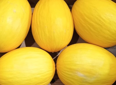 Foto Meloni Gialli Calibro 5 Origine Brasile Marchio Famosa     2