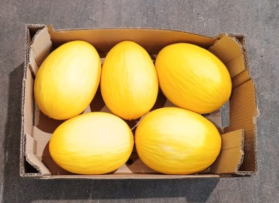 Foto Meloni Gialli Calibro 5 Origine Brasile Marchio Famosa     3