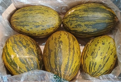 Foto Meloni Verdi Calibro 5 Origine Brasile Marchio Famosa          2