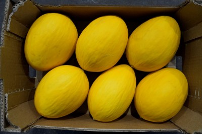 Foto Meloni Gialli Calibro 6 Origine Brasile Marchio Famosa      1