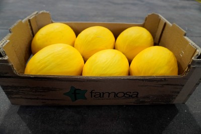 Foto Meloni Gialli Calibro 6 Origine Brasile Marchio Famosa      2