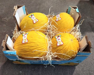 Foto Meloni Gialli Calibro 4 Origine Italia Matchio Gaf     1