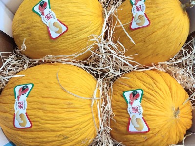 Foto Meloni Gialli Calibro 4 Origine Italia Matchio Gaf     2