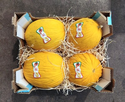 Foto Meloni Gialli Calibro 4 Origine Italia Matchio Gaf     3