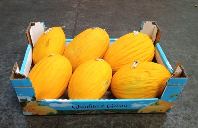 Foto Meloni Gialli Calibro 6 Origine Italia Marchio Qualita E Gusto  1