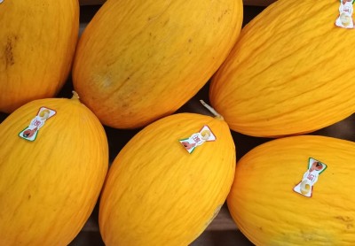 Foto Meloni Gialli Calibro 6 Origine Italia Marchio Qualita E Gusto  2