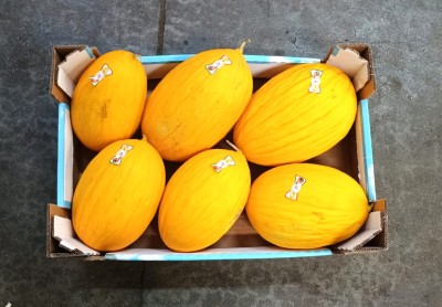 Foto Meloni Gialli Calibro 6 Origine Italia Marchio Qualita E Gusto  3