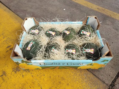 Foto Meloni Varietà Neros Calibro 8 Origine Italia Marchio Gaf 1