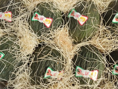 Foto Meloni Varietà Neros Calibro 8 Origine Italia Marchio Gaf 2