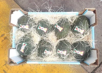 Foto Meloni Varietà Neros Calibro 8 Origine Italia Marchio Gaf 3