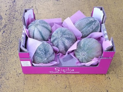 Foto Meloni Retati Calibro 5 Origine Italia Marchio Sicilia         1